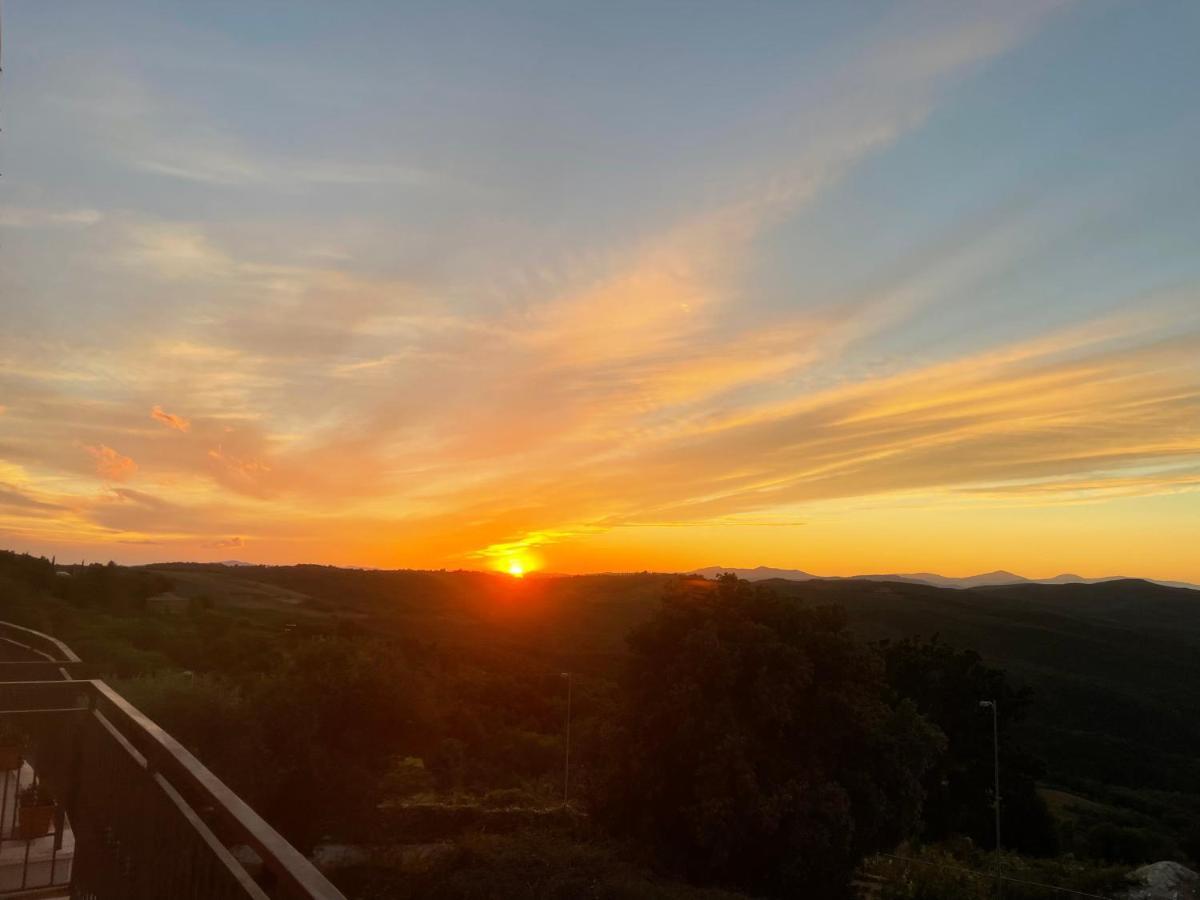 Il Tramonto Leilighet Montalcino Eksteriør bilde
